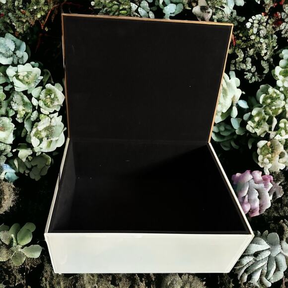 NWOT Follow Your Dreams glass box velvet lined 10” long 8” wide - Picture 3 of 4